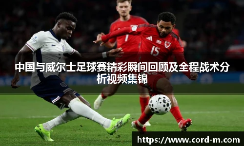 V66.COM中国与威尔士足球赛精彩瞬间回顾及全程战术分析视频集锦